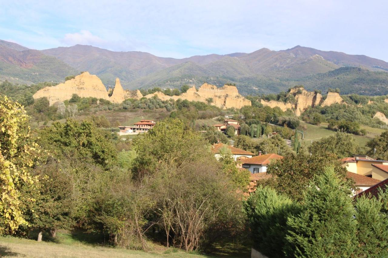 Le Siepi Daire Reggello Dış mekan fotoğraf